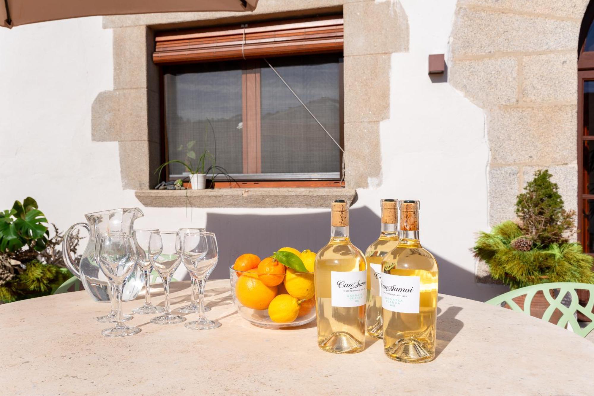 La Terraza - Grosszuegiges Appartment In Katalanischer Masia Sant Iscle de Vallalta Kültér fotó